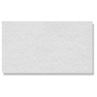 Canson χαρτί Ingres 100gr. 50x70 εκ. Λευκό